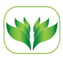 Junior Assistant (Trainee) wanted at Swabhimaan Laghubitta Bittiya Sanstha; Freshers can APPLY