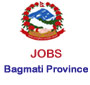 248 vacancies in Bagmati Province, Government of Nepal