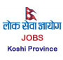 500+ vacancies from Province Lok Sewa Aayog, Koshi Province