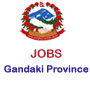 Jobs at Lok Sewa Gandaki Province, Government of Nepal