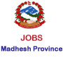 Vacancy from Madhesh Province, Government of Nepal